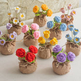Handmade Crochet Decorative Potted Flowers for Home Decor